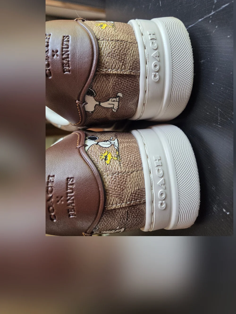 Coach × Peanuts Shoes - Picture 11 of 16